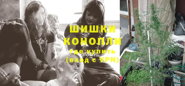 шишки Володарск