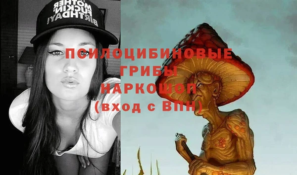 2c-b Верхнеуральск